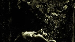 Đánh Cắp Linh Hồn - The Possession (2012)