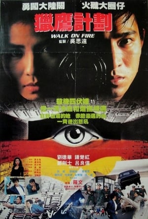 Poster 獵鷹計劃 1988