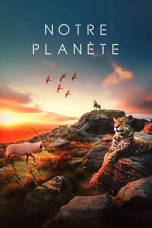 Poster Notre planète Notre planète II La nouvelle génération 2023