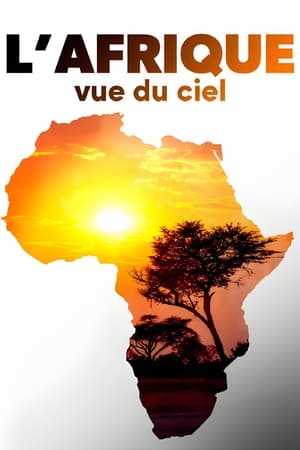 Poster L'Afrique vue du ciel 2022