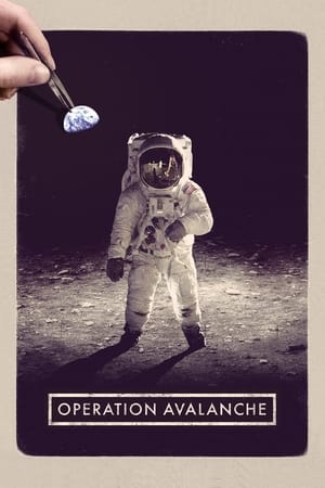 Poster Operation Avalanche 2016