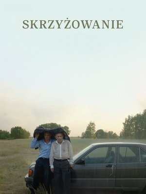 Image Skrzyżowanie