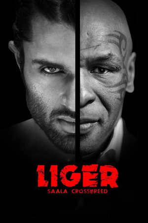 Liger 40