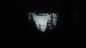 I HAVE NOT BEEN AFRAID OF GOING BLIND FOR A LONG TIME