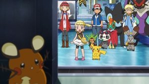 Pokémon: 19×47