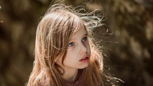 The Wizard of the Emerald City (2025)