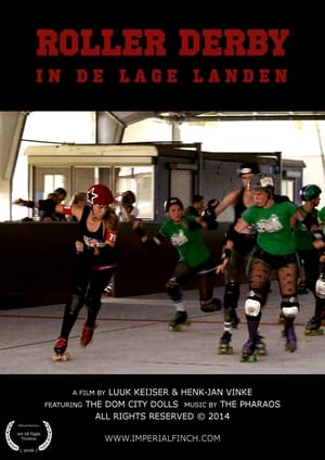 Image ROLLER DERBY IN THE LAGE LANDEN