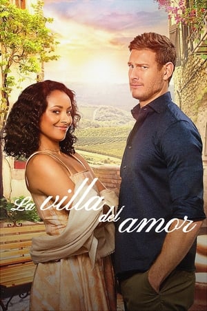 Poster La villa del amor 2022