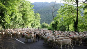 National Parks From Above France