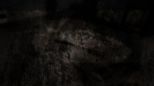 Aux origines du mal