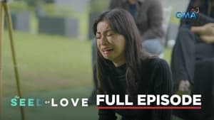 The Seed of Love: Season 1 Full Episode 53