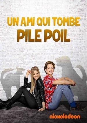 Poster Un ami qui tombe pile-poil 2016