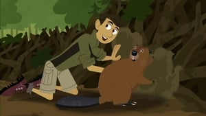 Wild Kratts Build It Beaver