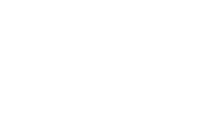 Perfect Game — Logos 1