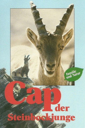 Poster Cap der Steinbockjunge