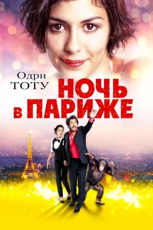 Poster Ночь в Париже 2017