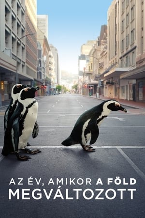 Poster Az év, amikor a föld megváltozott 2021