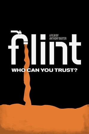 Poster di Flint