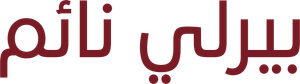 Dormindo Feito Urso — Logos 3