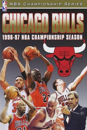 Poster Chicago Bulls 1996-97 NBA Championship Season 1997