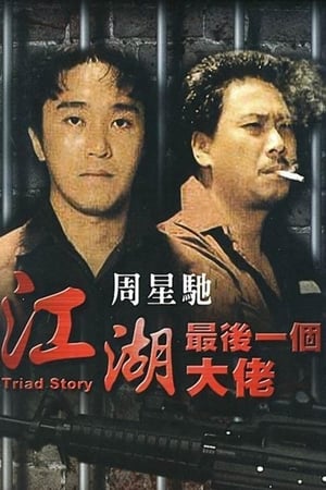 Triad Story poster