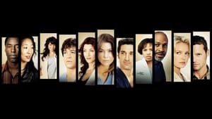 poster Grey's Anatomy - Season 5