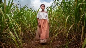 The Long Song (2018), seriale online subtitrat în Română