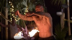 Épisode 8