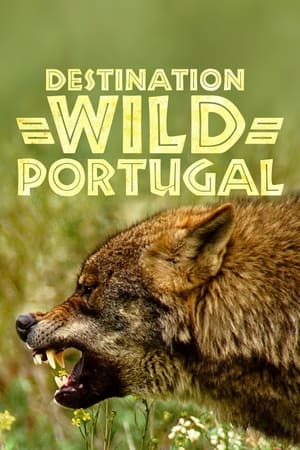 Poster Destination Wild : Portugal 2020