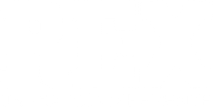 Rex, un policía diferente — Logos 2