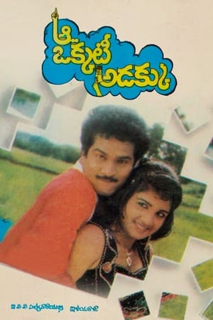 Poster Aa Okkati Adakku 1992