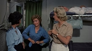 Operation Petticoat (1959)