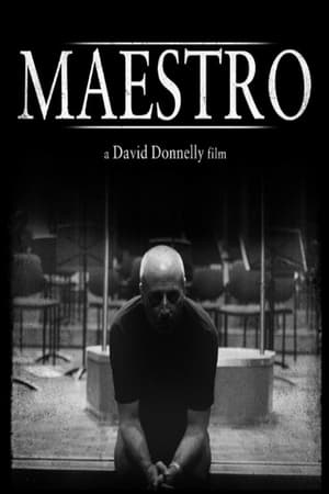 Maestro 2015