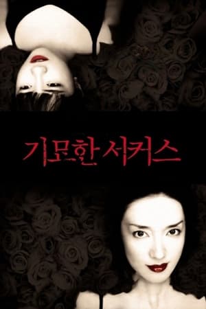 기묘한 서커스 2005