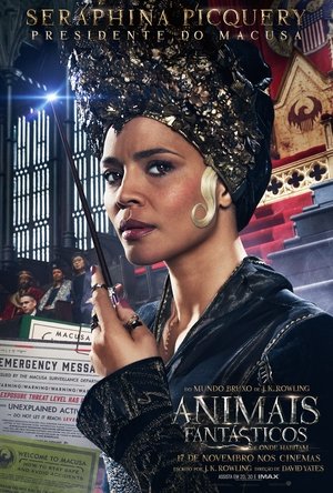<Images posters