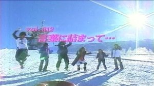 Episode 312