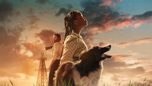 Sarah’s Oil (2025) Hindi Dubbed AMZN