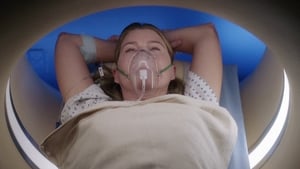 Grey's Anatomy Season 17 :Episode 3  My Happy Ending