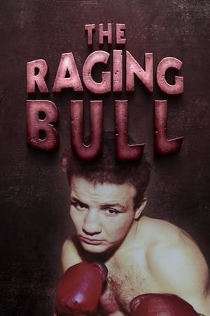 Image The Raging Bull