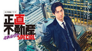 The Honest Realtor MINERVA Special 2