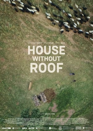 Poster House Without Roof (2016)