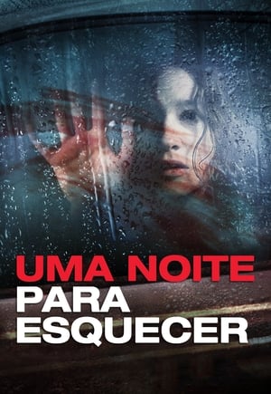 Poster Uma Noite para Esquecer 2013