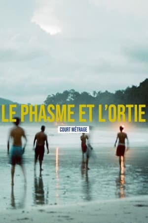 Poster Le phasme et l'ortie (2021)