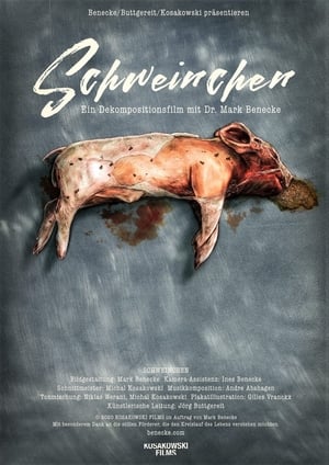 Poster Piggy (2020)