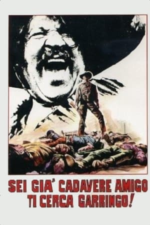 Poster Sei già cadavere Amigo... ti cerca Garringo 1971