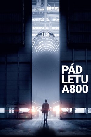 Poster Pád letu A800 2021