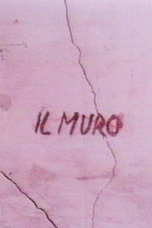Il muro