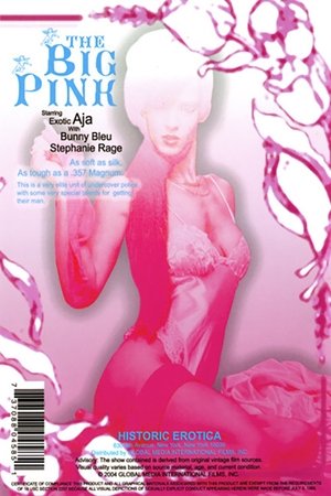 Poster The Big Pink (1989)