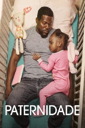 Paternidade - Poster