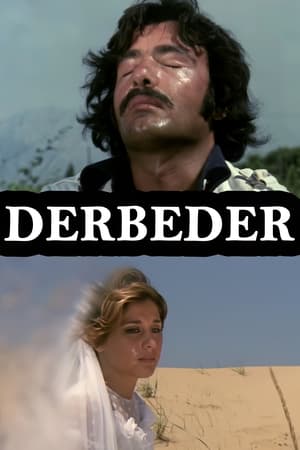 Poster Derbeder (1978)